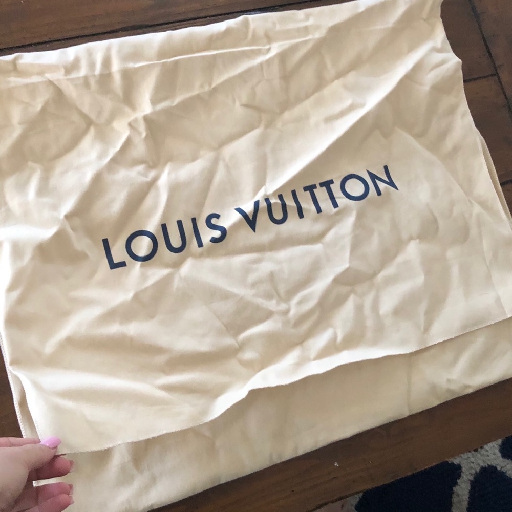 Louis Vuitton Bag